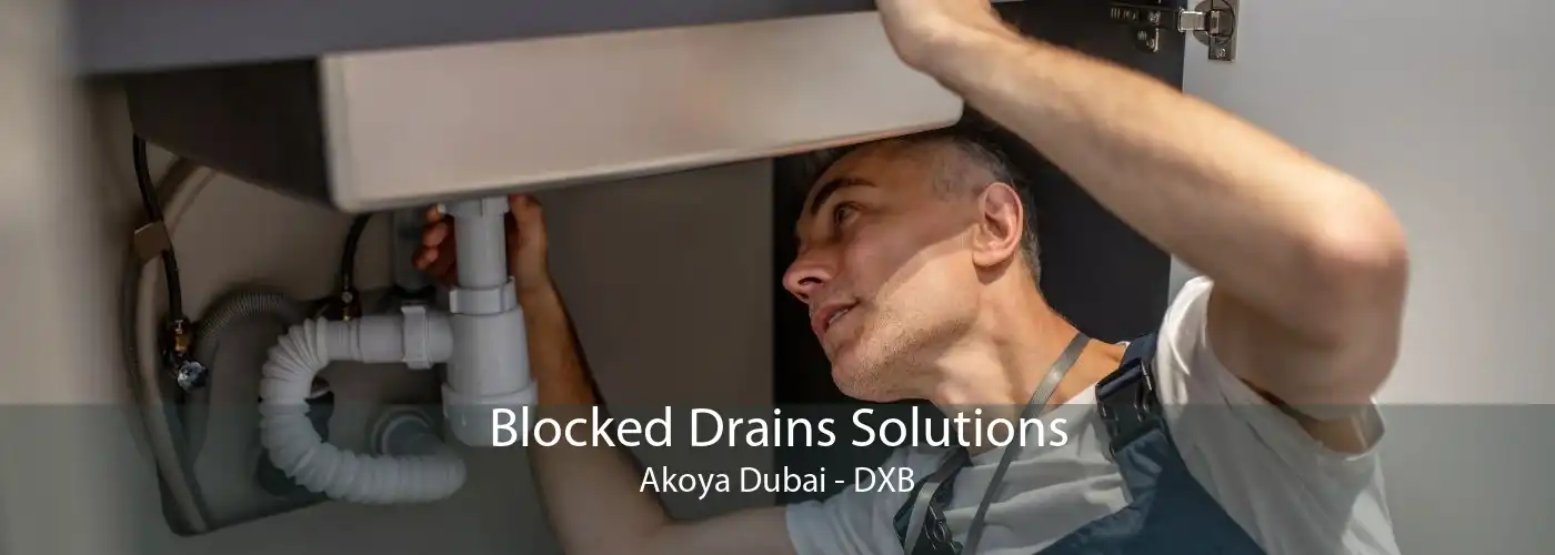 Blocked Drains Solutions Akoya Dubai - DXB