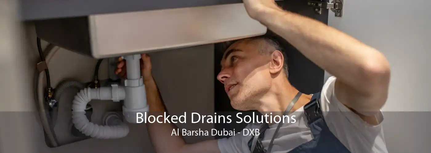 Blocked Drains Solutions Al Barsha Dubai - DXB