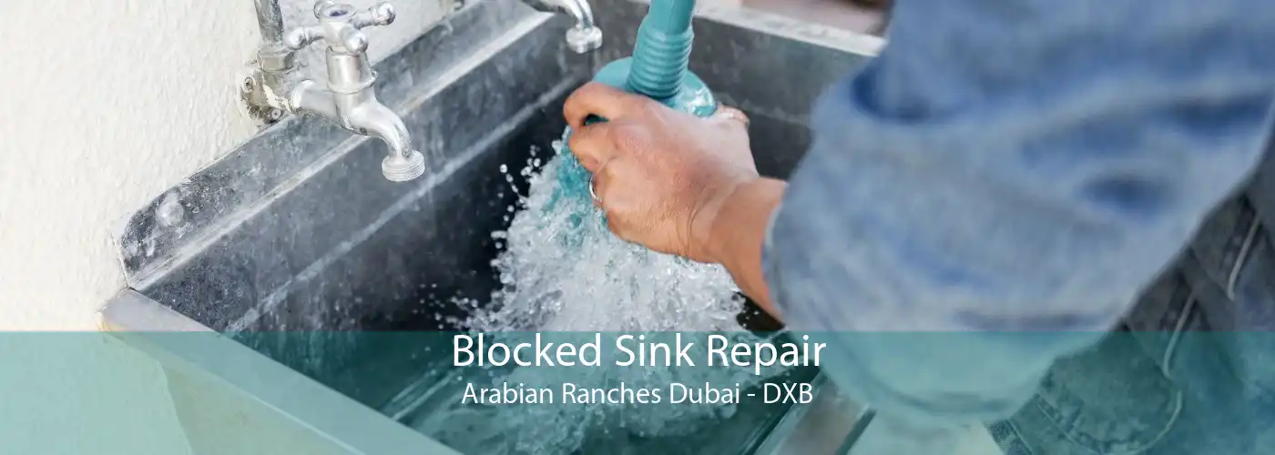 Blocked Sink Repair Arabian Ranches Dubai - DXB