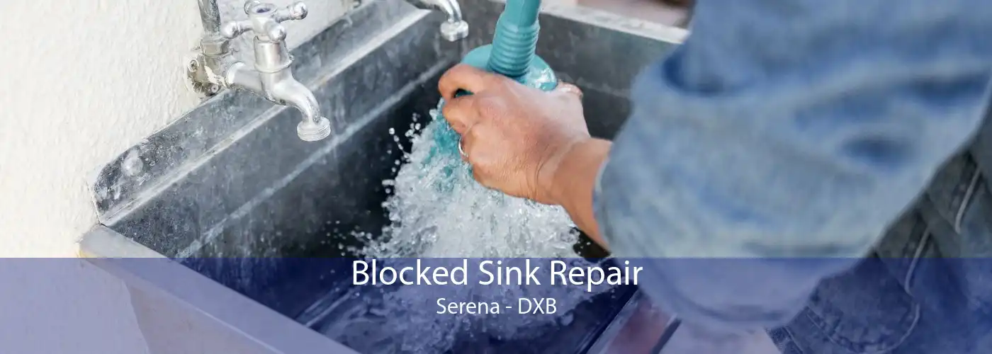Blocked Sink Repair Serena - DXB