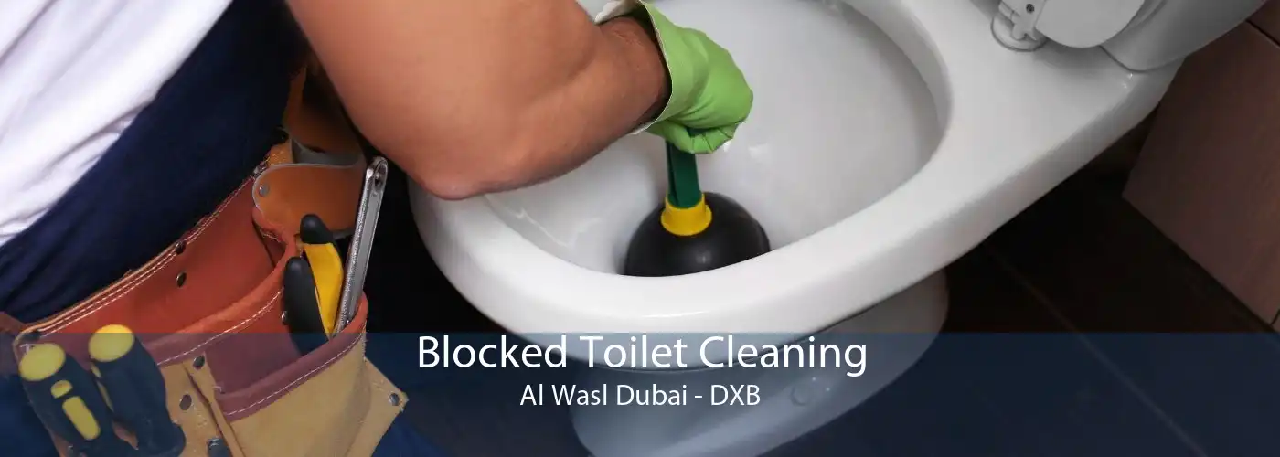 Blocked Toilet Cleaning Al Wasl Dubai - DXB