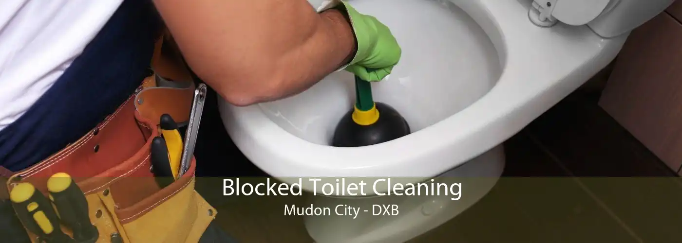 Blocked Toilet Cleaning Mudon City - DXB