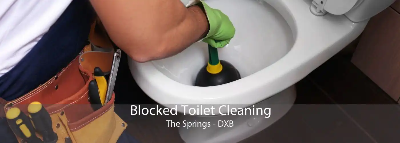 Blocked Toilet Cleaning The Springs - DXB