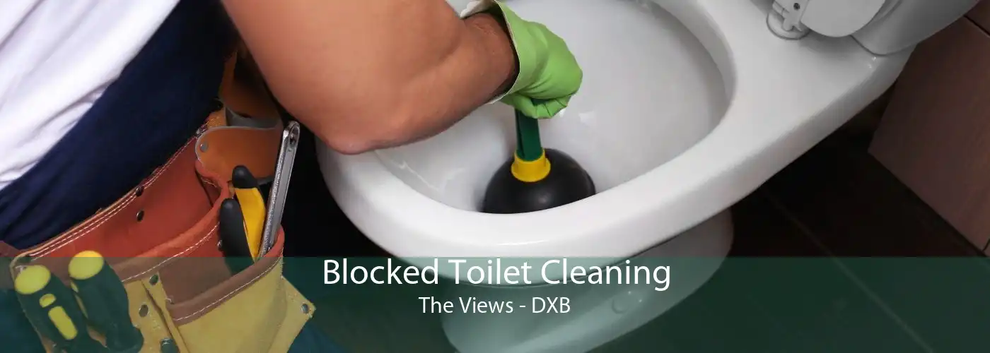 Blocked Toilet Cleaning The Views - DXB