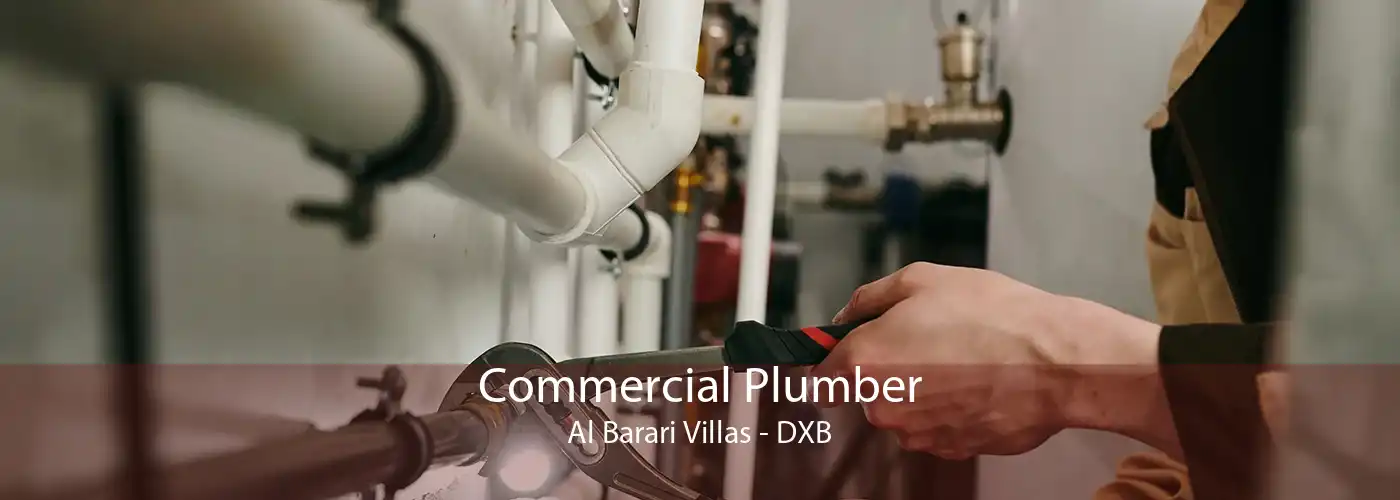 Commercial Plumber Al Barari Villas - DXB