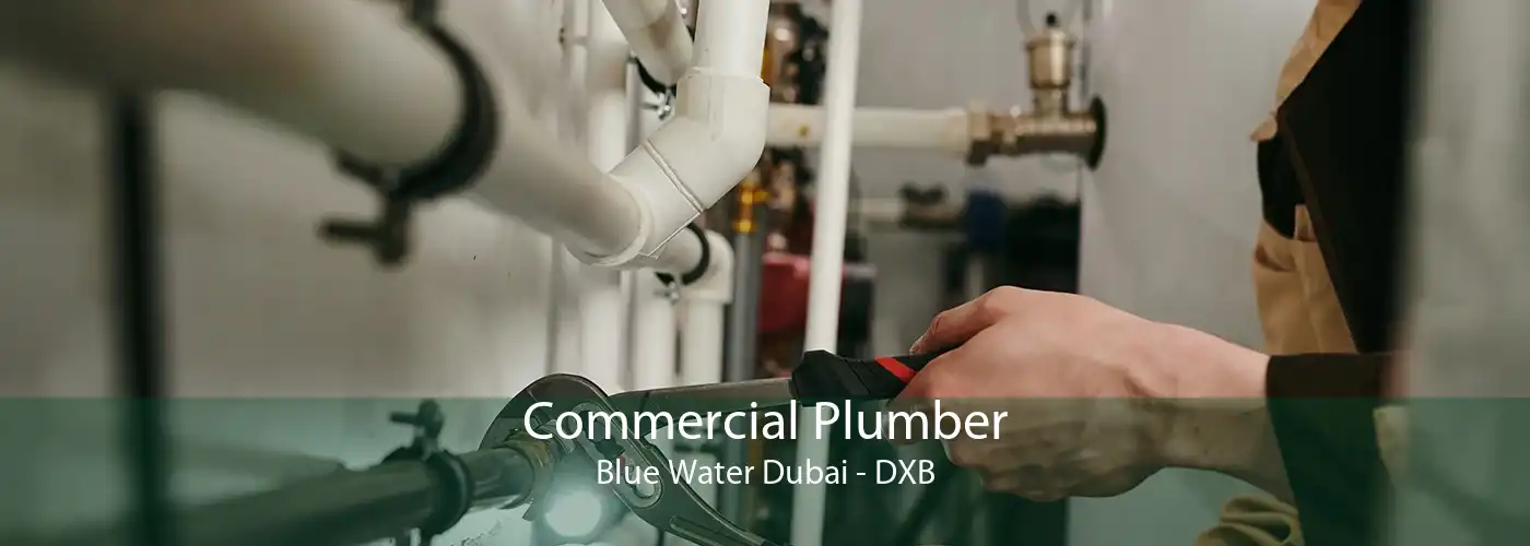 Commercial Plumber Blue Water Dubai - DXB