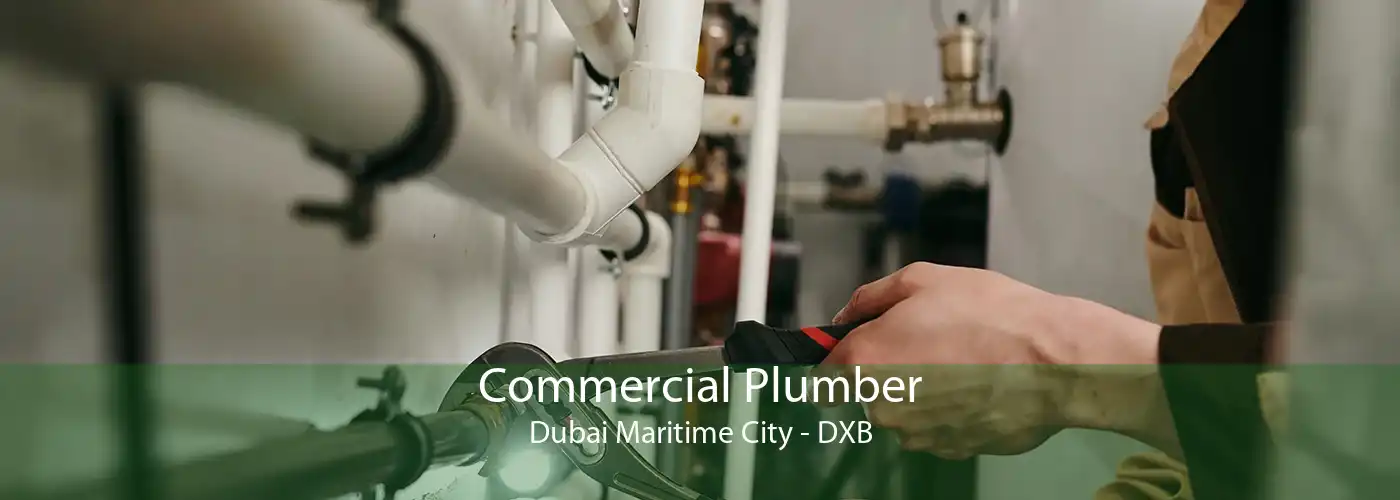 Commercial Plumber Dubai Maritime City - DXB