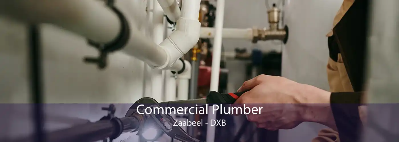 Commercial Plumber Zaabeel - DXB