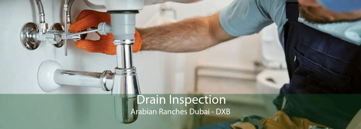 Drain Inspection Arabian Ranches Dubai - DXB