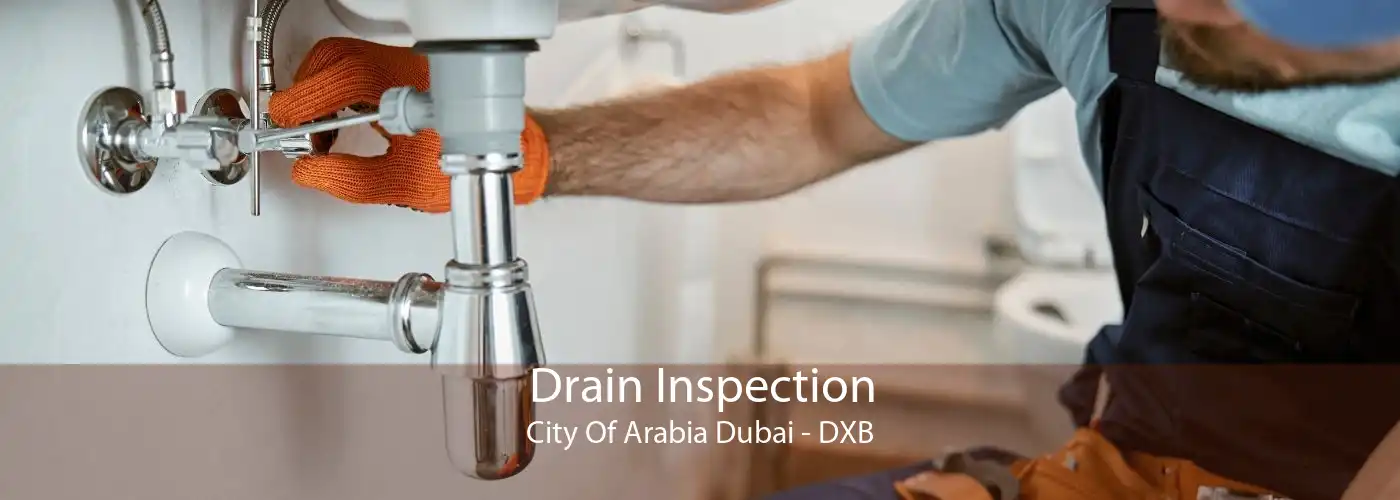 Drain Inspection City Of Arabia Dubai - DXB