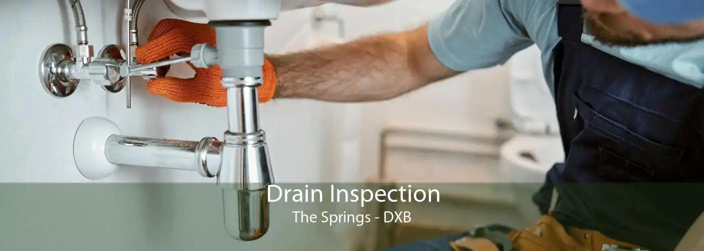Drain Inspection The Springs - DXB