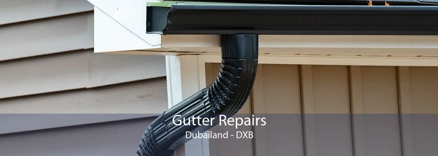 Gutter Repairs Dubailand - DXB