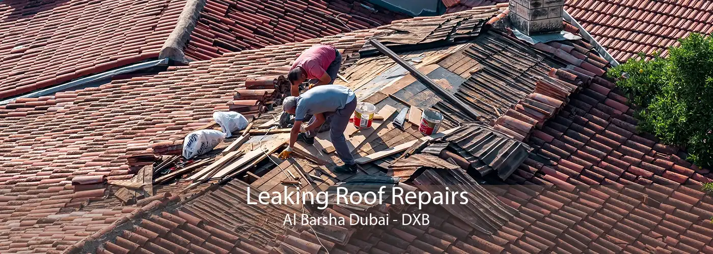 Leaking Roof Repairs Al Barsha Dubai - DXB