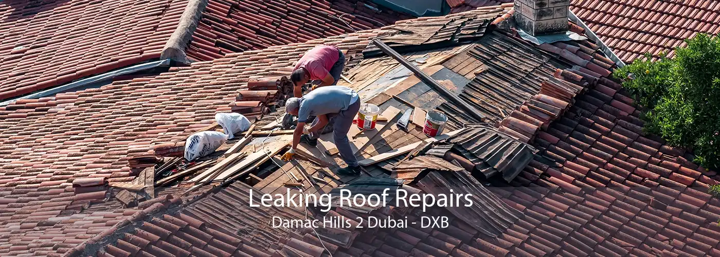 Leaking Roof Repairs Damac Hills 2 Dubai - DXB