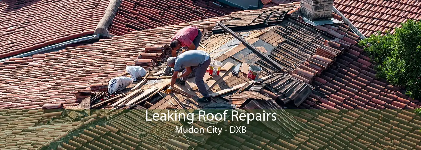 Leaking Roof Repairs Mudon City - DXB