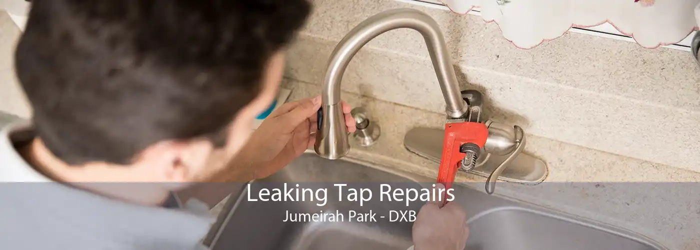 Leaking Tap Repairs Jumeirah Park - DXB