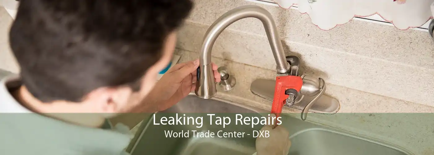 Leaking Tap Repairs World Trade Center - DXB