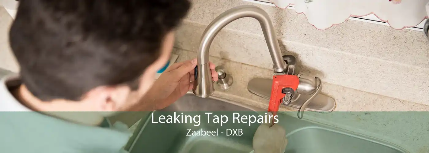Leaking Tap Repairs Zaabeel - DXB