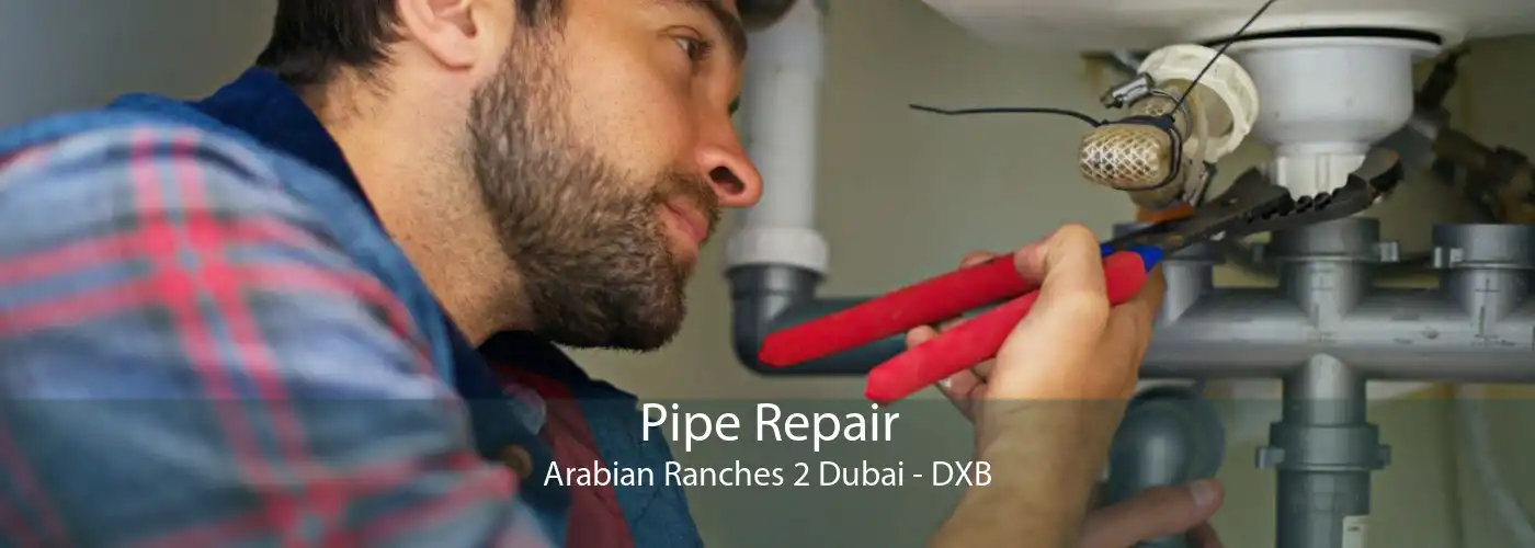 Pipe Repair Arabian Ranches 2 Dubai - DXB