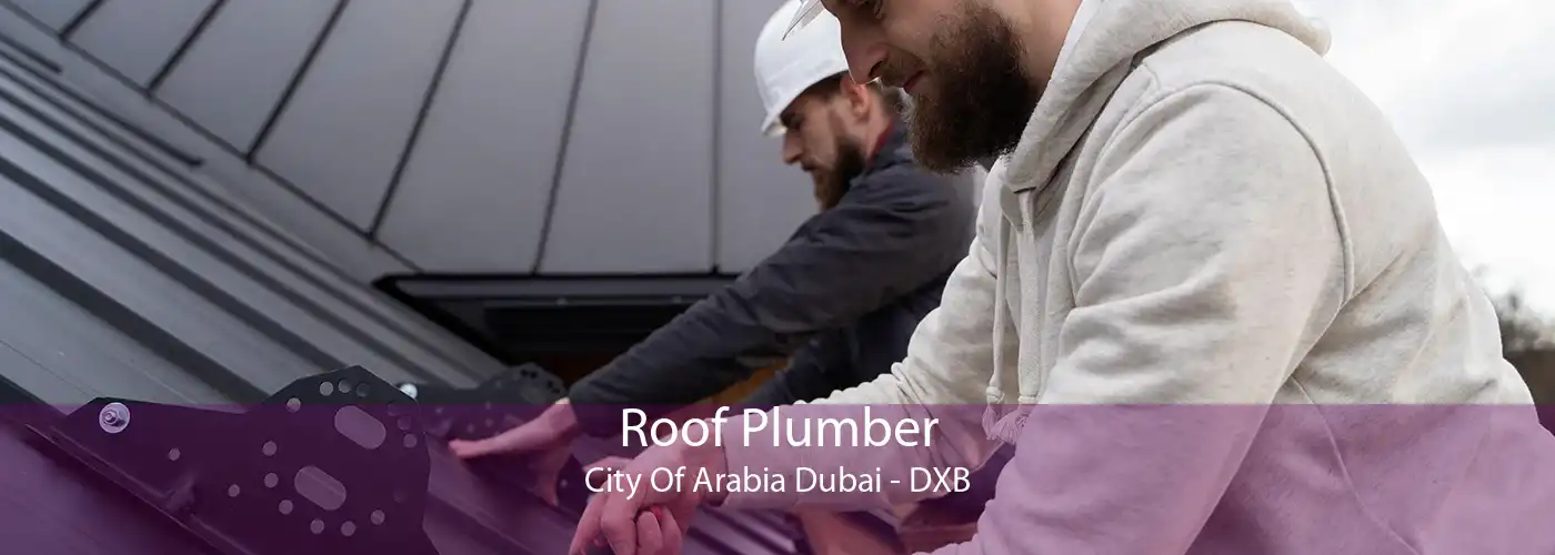 Roof Plumber City Of Arabia Dubai - DXB