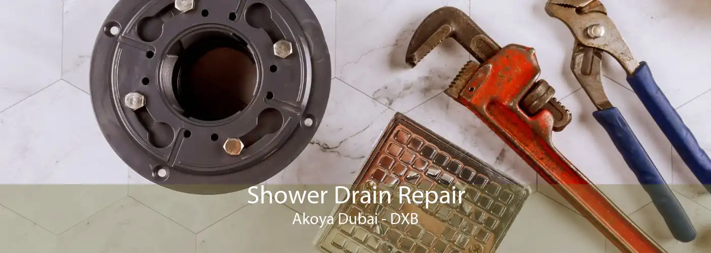 Shower Drain Repair Akoya Dubai - DXB