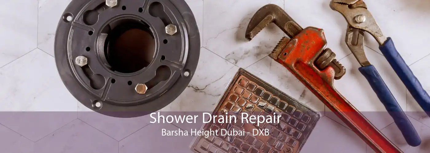 Shower Drain Repair Barsha Height Dubai - DXB