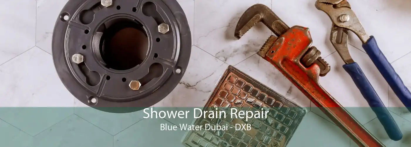 Shower Drain Repair Blue Water Dubai - DXB