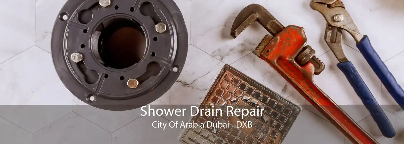 Shower Drain Repair City Of Arabia Dubai - DXB
