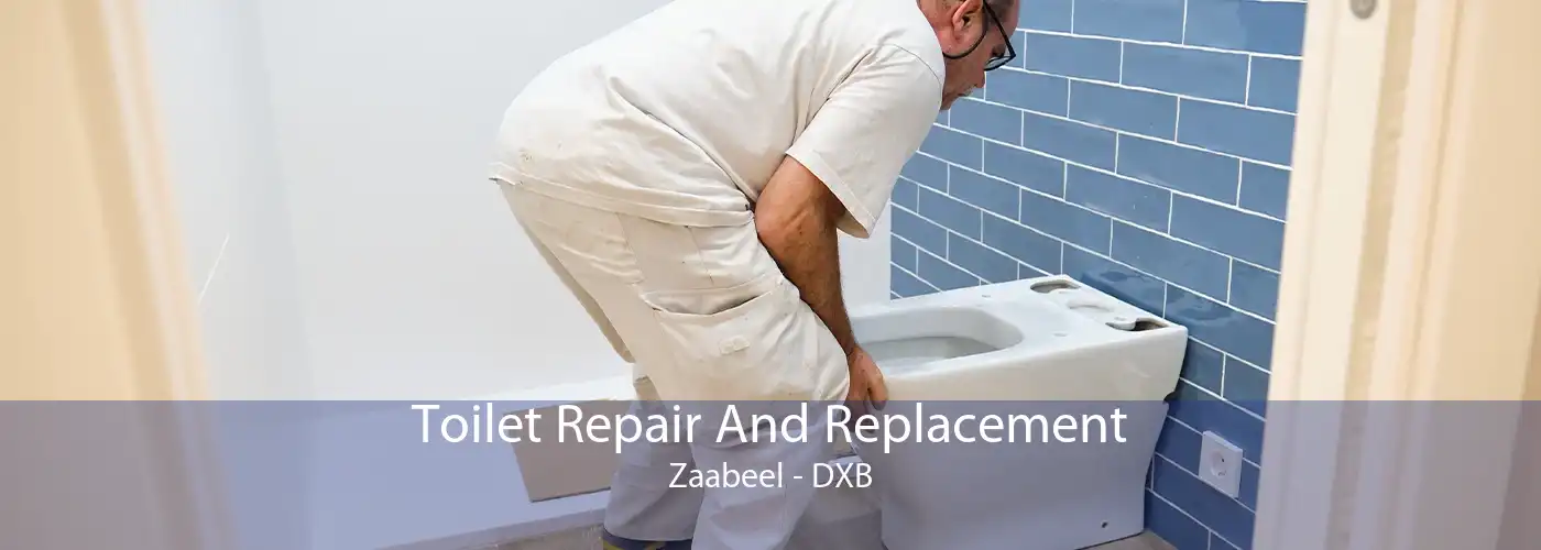 Toilet Repair And Replacement Zaabeel - DXB