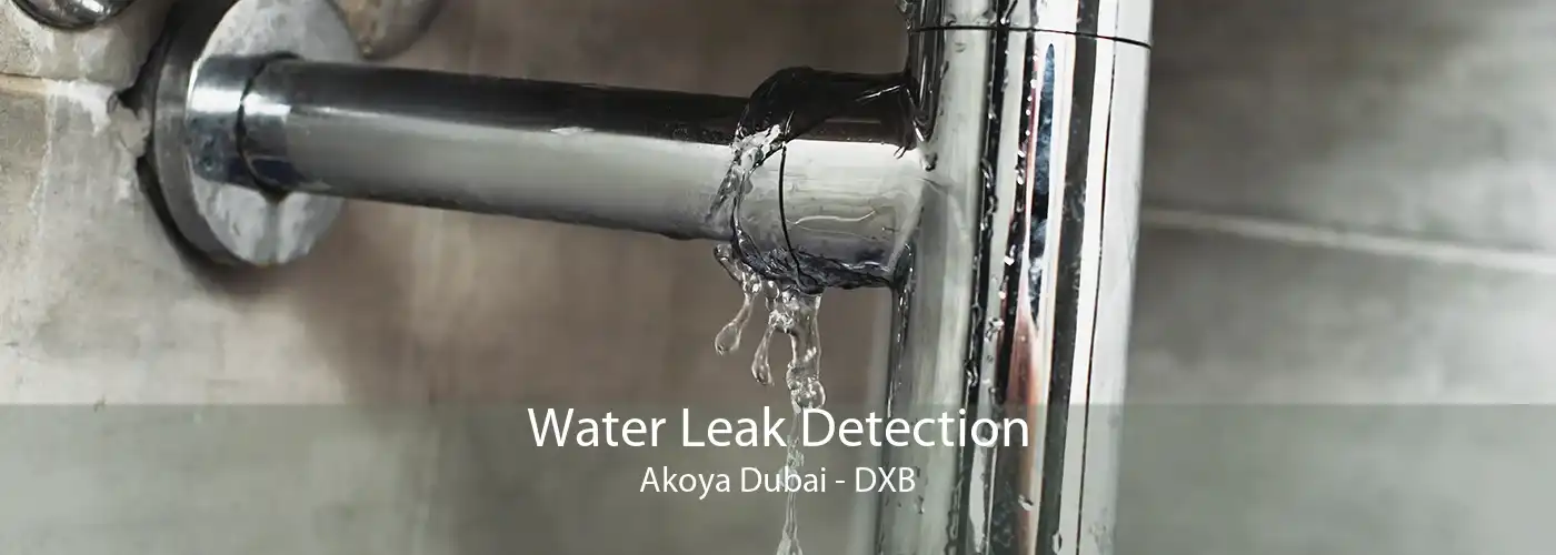 Water Leak Detection Akoya Dubai - DXB