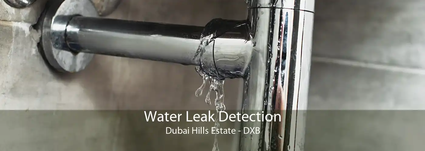 Water Leak Detection Dubai Hills Estate - DXB