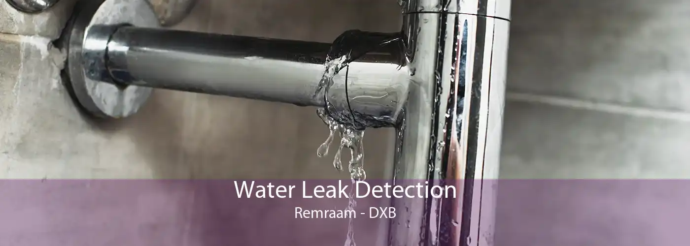Water Leak Detection Remraam - DXB