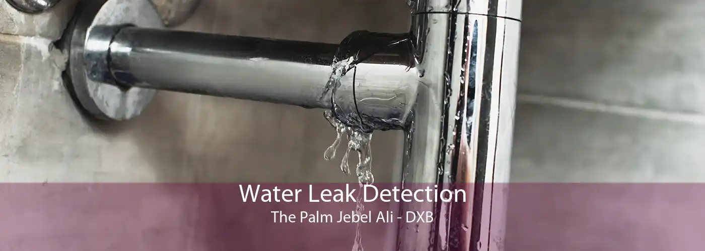 Water Leak Detection The Palm Jebel Ali - DXB