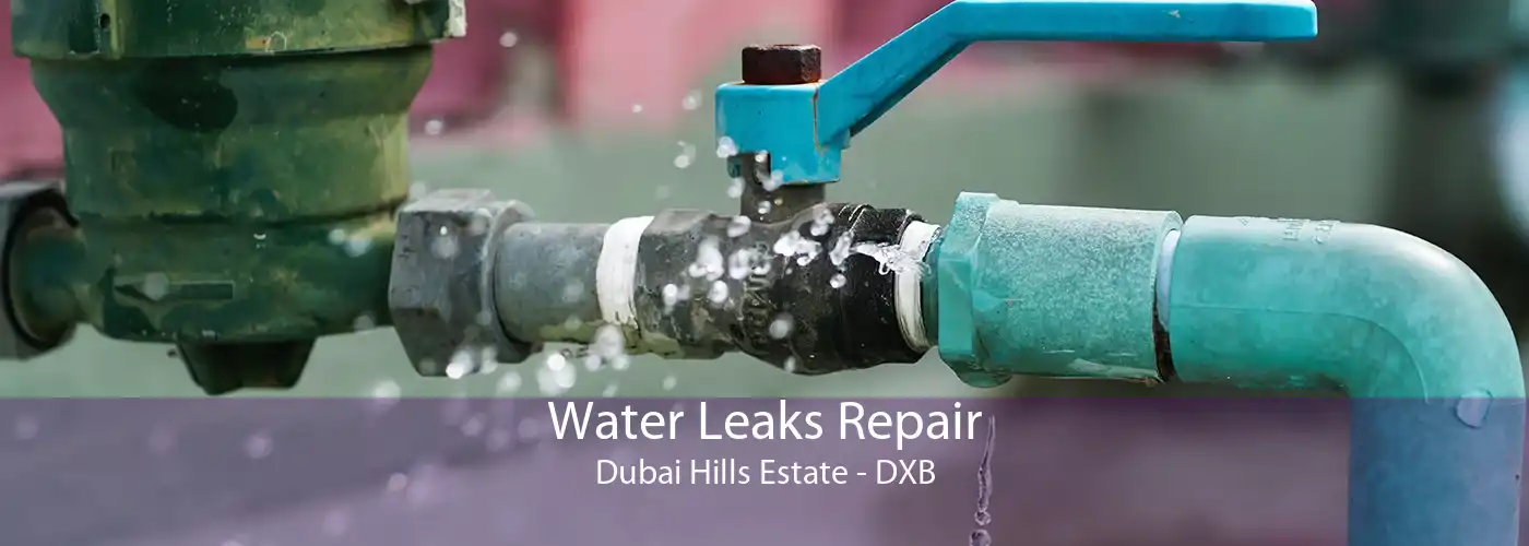 Water Leaks Repair Dubai Hills Estate - DXB