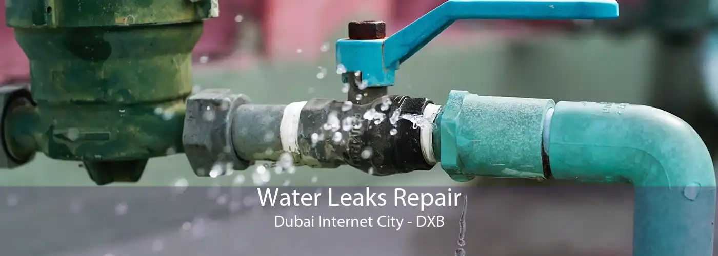 Water Leaks Repair Dubai Internet City - DXB