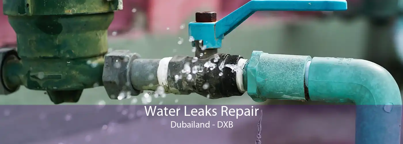 Water Leaks Repair Dubailand - DXB