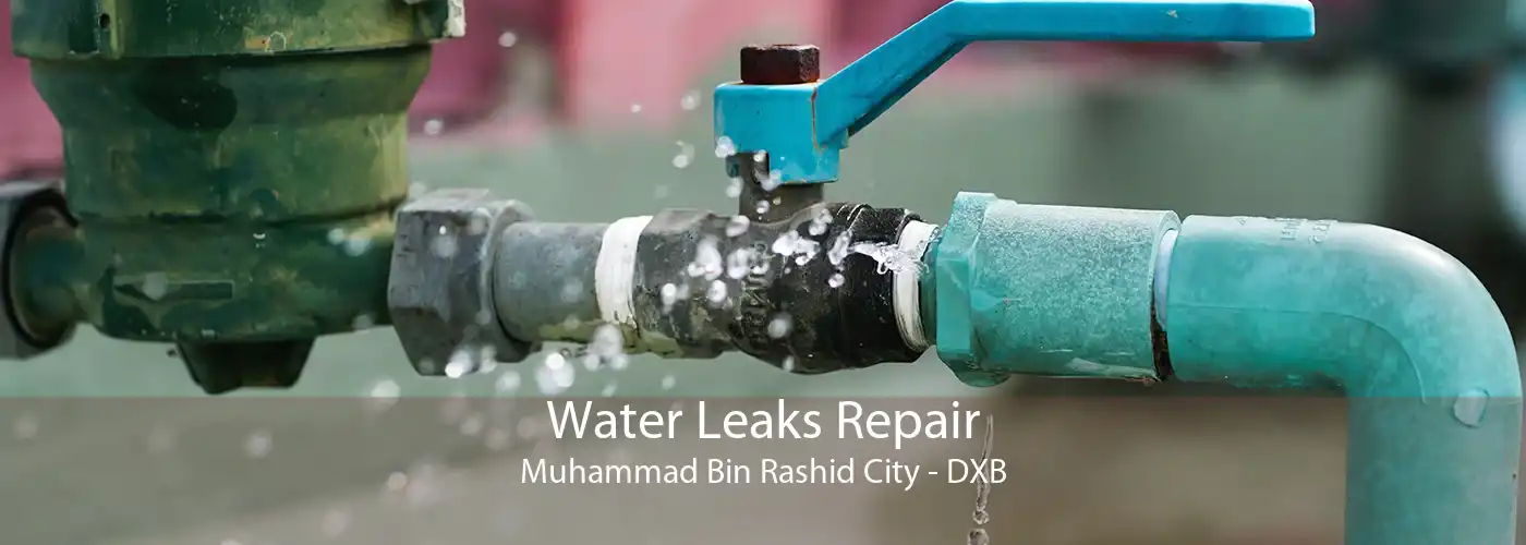 Water Leaks Repair Muhammad Bin Rashid City - DXB