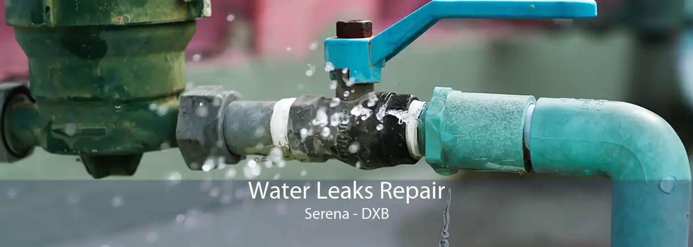 Water Leaks Repair Serena - DXB